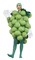 The Costume Center Green Grapes Unisex One Size Adult Fancy Dress Costume